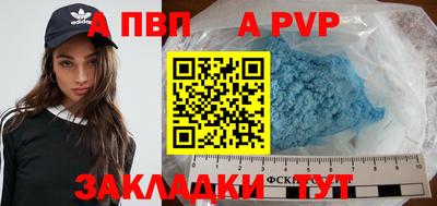 СК Гатчина