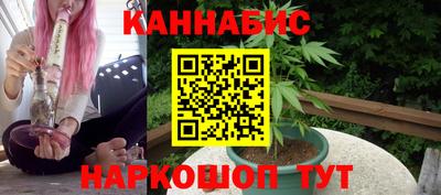 СК Гатчина