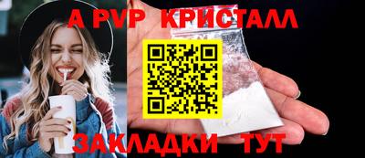 СК Гатчина