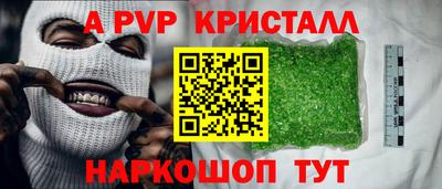 СК Гатчина